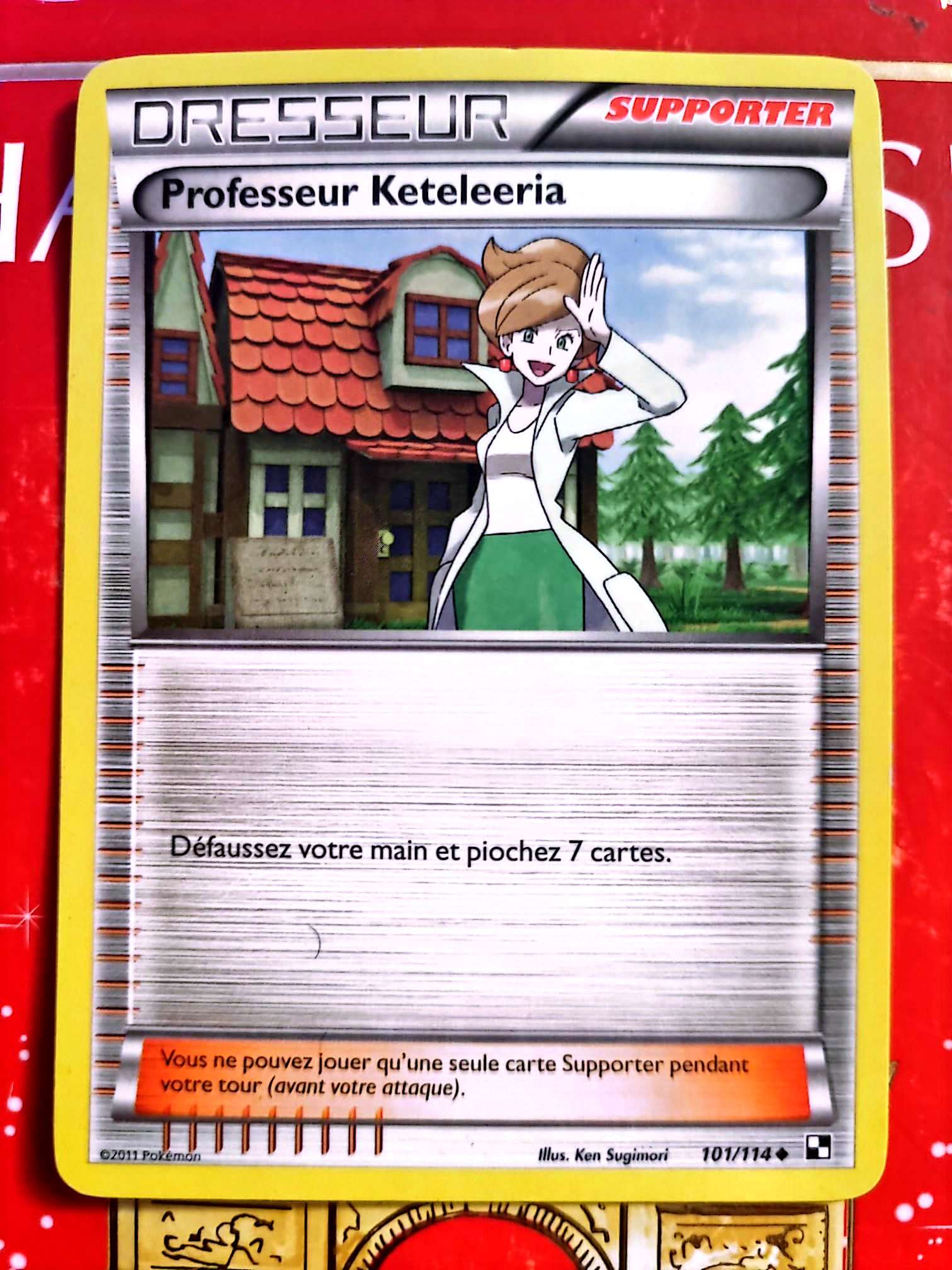 Carte Dresseur Pokémon Professeur Keteleria 101/114 – XY – Carte Officielle Française carte pokemon