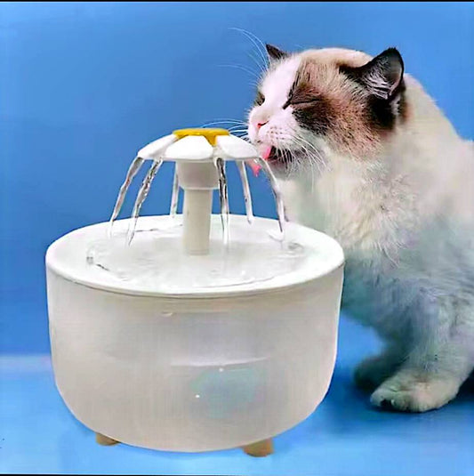 Fontaine à eau automatique pour chats et chiens – Abreuvoir silencieux avec filtre, 2 L – Hydratation continue pour animaux domestiques – neuf