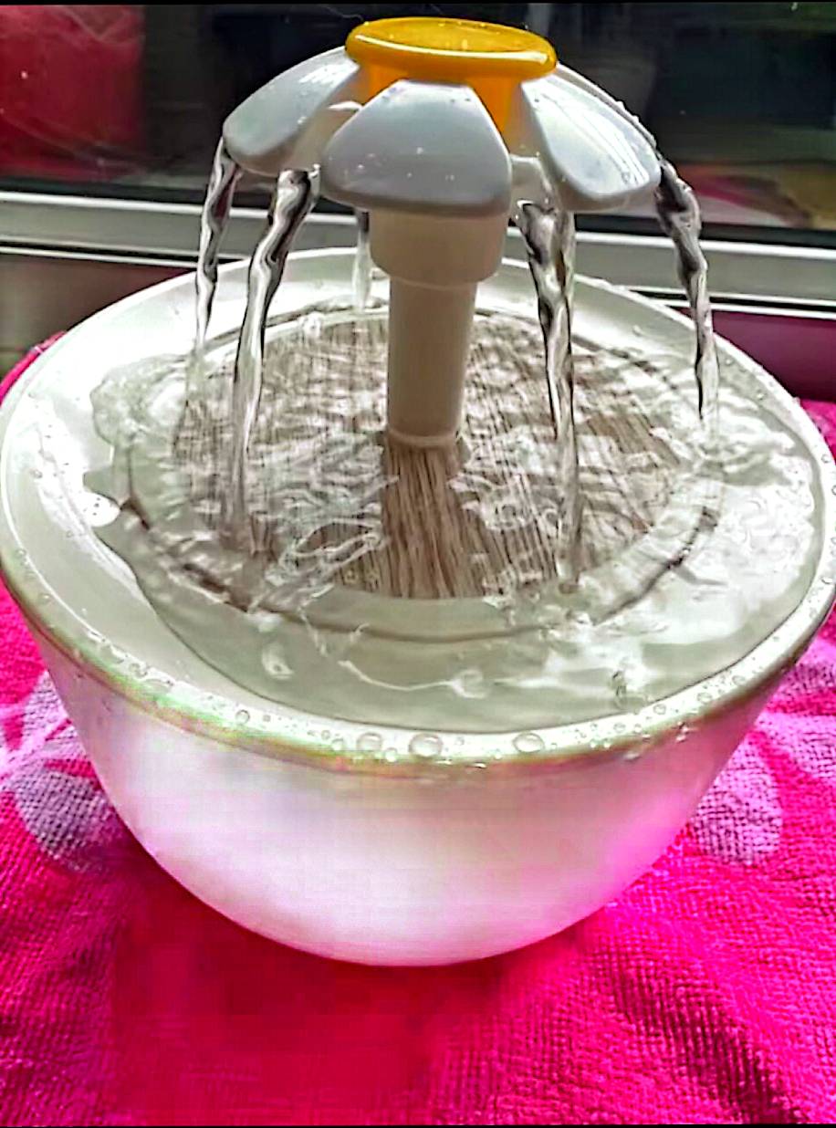 Fontaine à eau automatique pour chats et chiens – Abreuvoir silencieux avec filtre, 2 L – Hydratation continue pour animaux domestiques – neuf