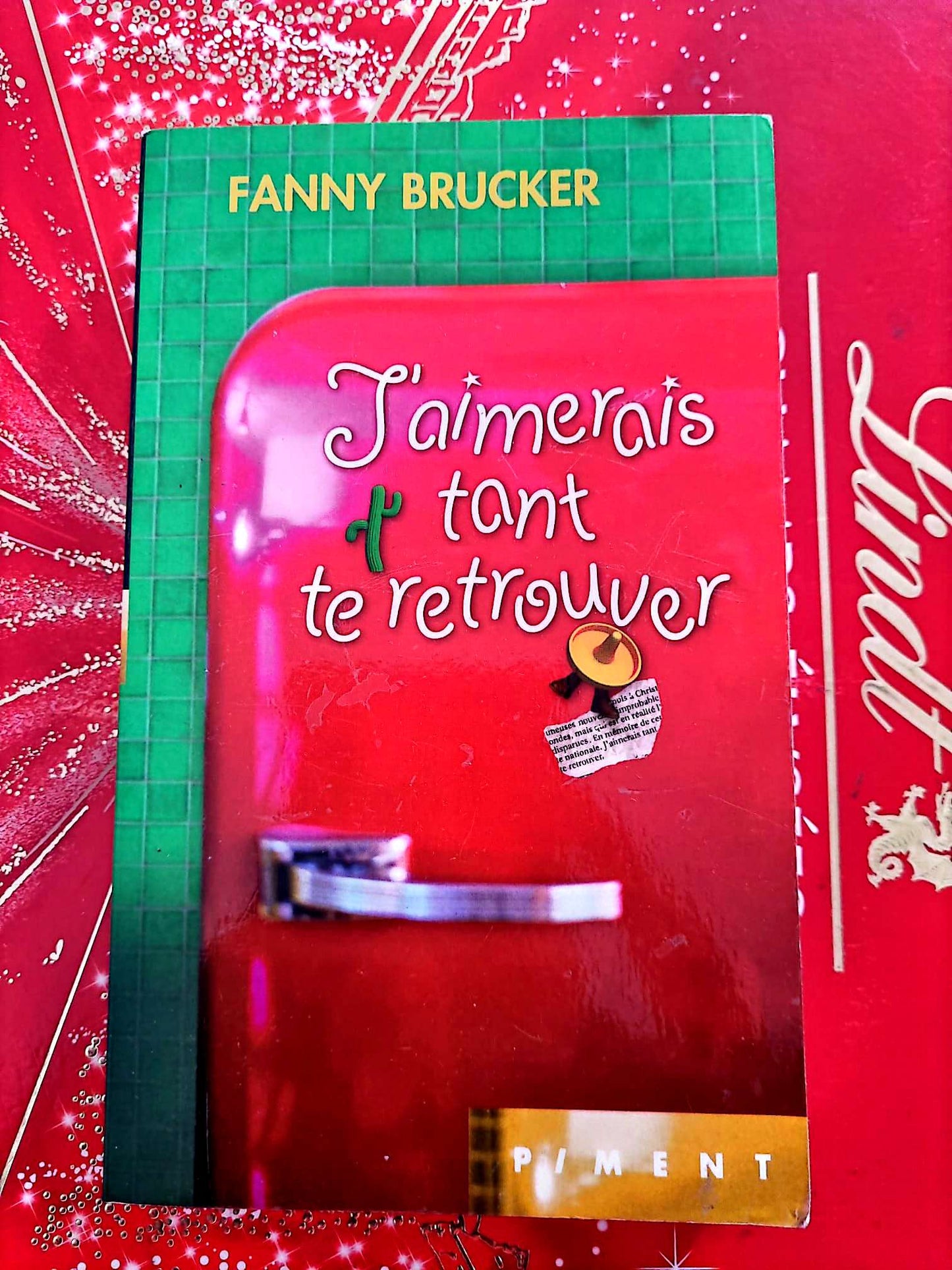J’aimerais tant te retrouver – Fanny Brucker – Roman français – Éditions Piment livre
