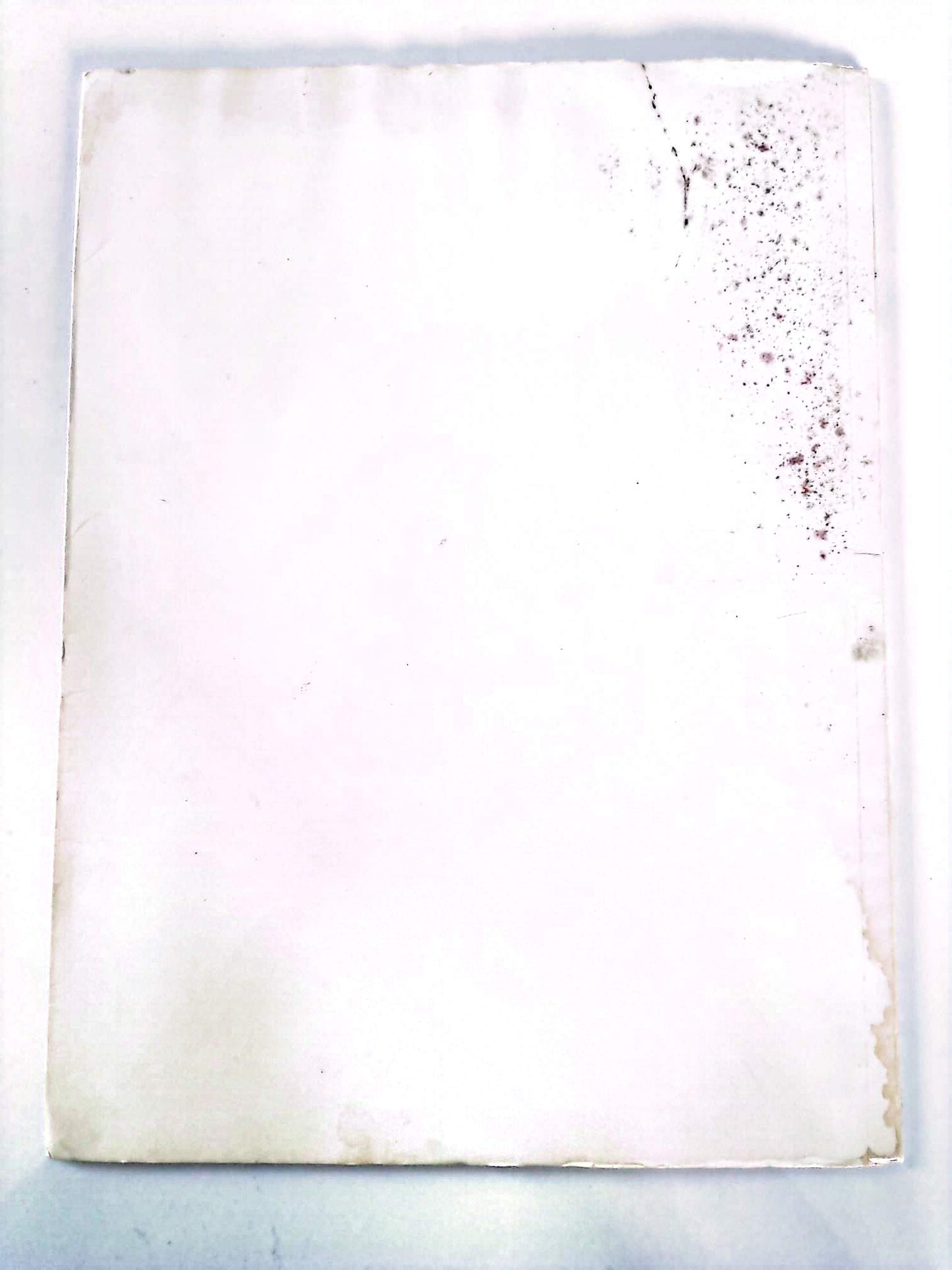 Raphaël II – Chefs-d’œuvre de l’art – Grands peintres – Livre d’art illustré – 12 pages – Hachette