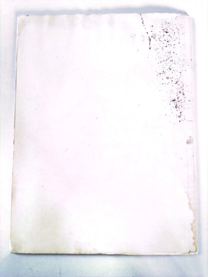 Raphaël II – Chefs-d’œuvre de l’art – Grands peintres – Livre d’art illustré – 12 pages – Hachette