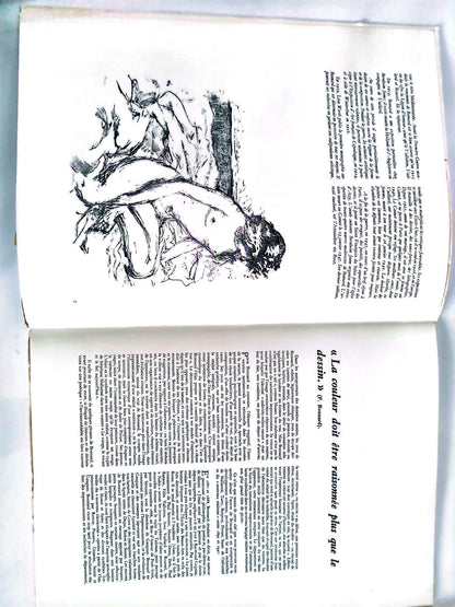 Bonnard – Chefs-d’œuvre de l’art – Grands peintres – Livre d’art illustré – 12 pages – Hachette