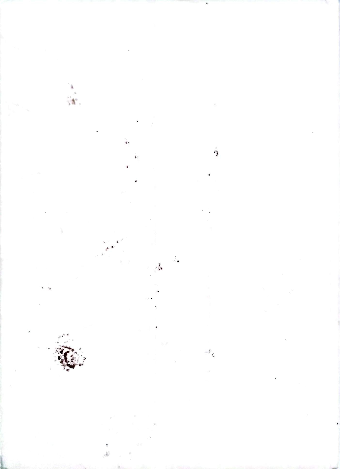 Bonnard – Chefs-d’œuvre de l’art – Grands peintres – Livre d’art illustré – 12 pages – Hachette