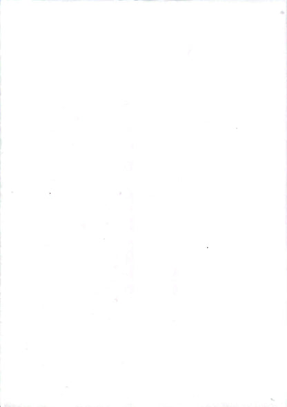范德·韦登 – 艺术杰作 – 大画家 – 插图艺术书籍 – 12页 – 阿歇特出版社
