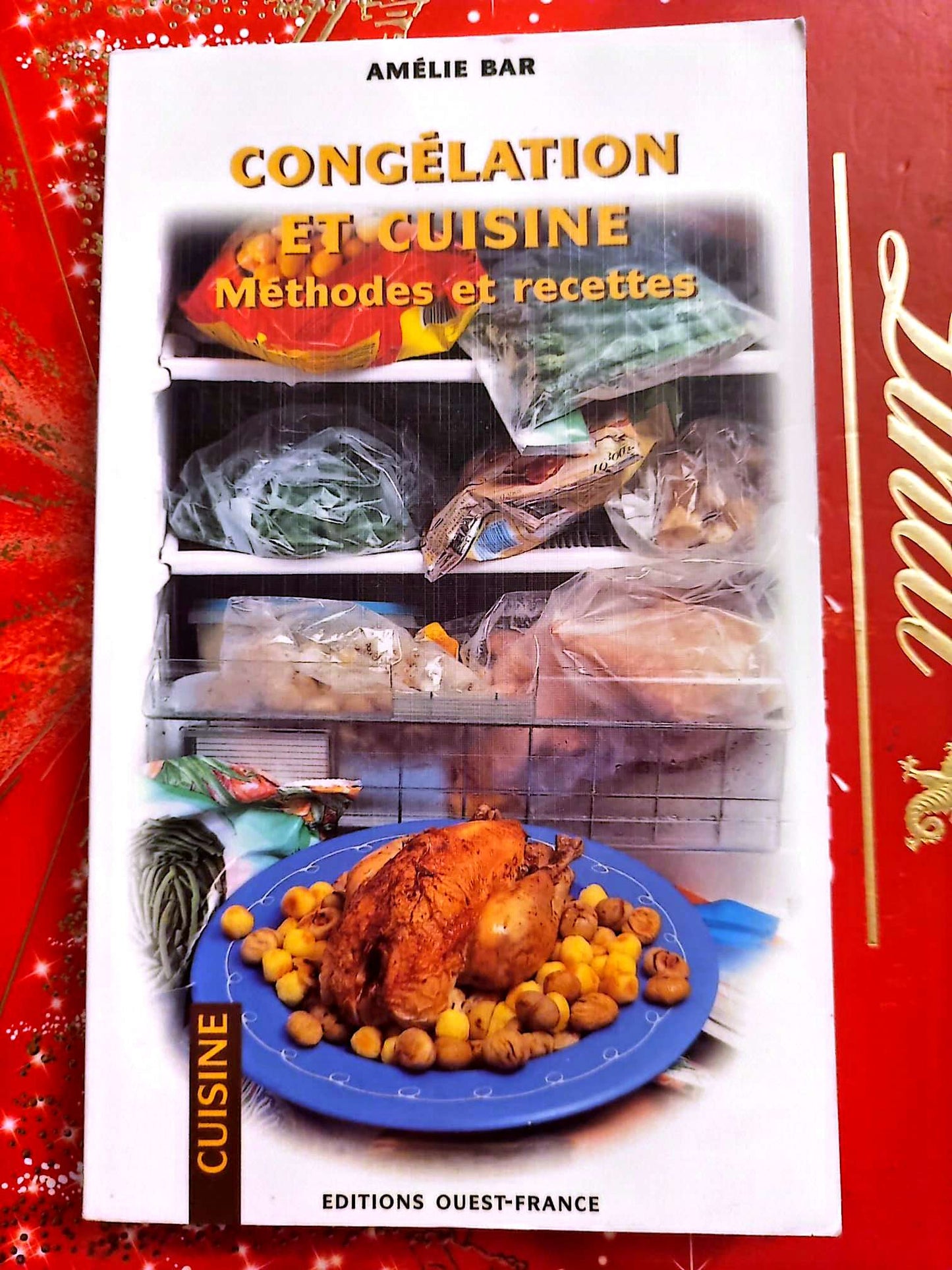 Congélation et cuisine – Méthodes et recettes – Amélie Bar livre de cuisine