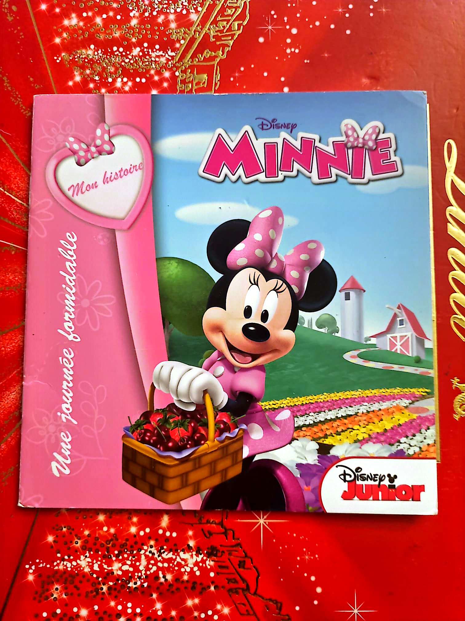 Minnie – Une journée formidable – Disney Junior – Livre jeunesse illustré livre jeunesse