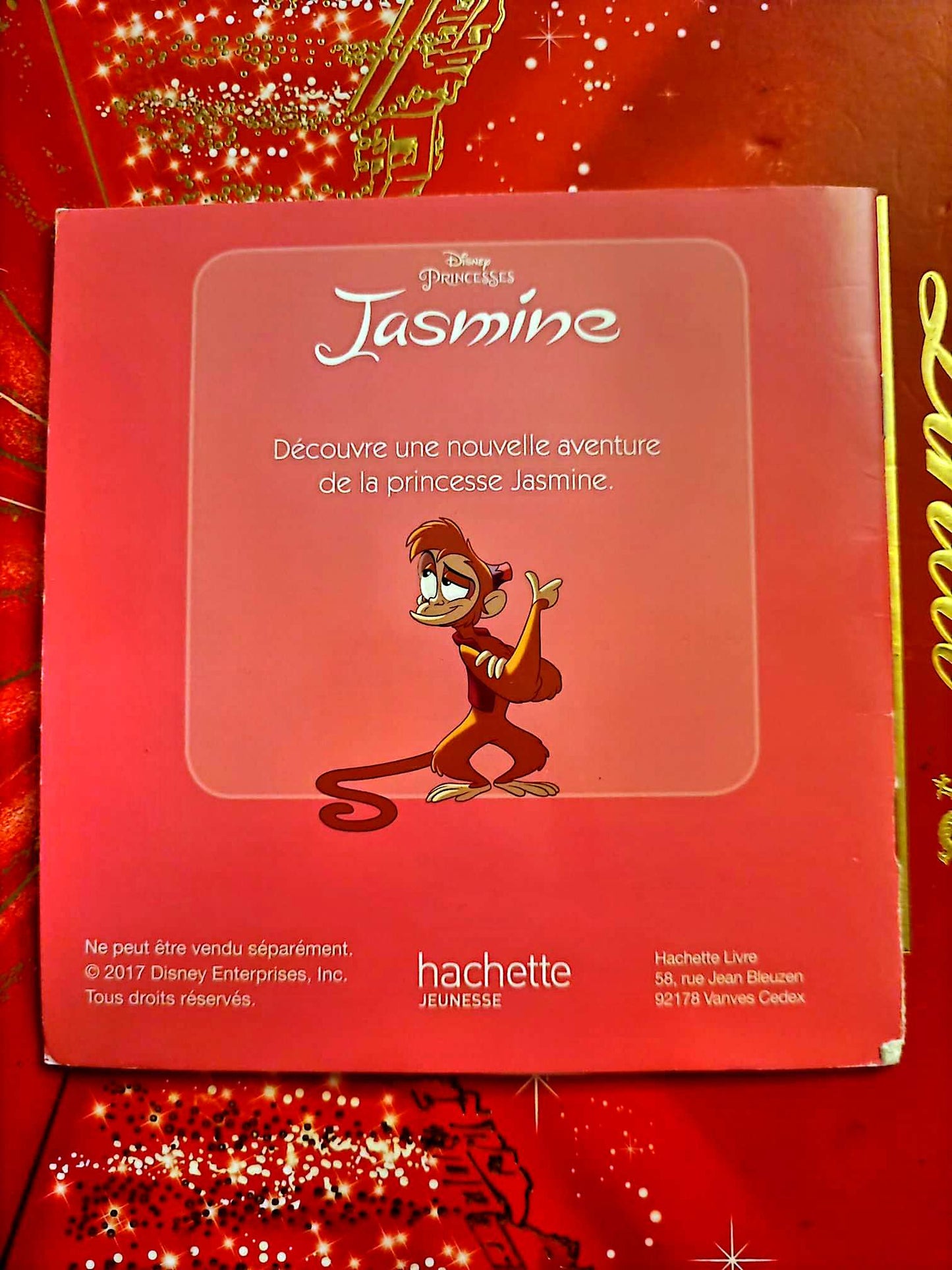 Jasmine et ses amis – Disney Princesses – Livre jeunesse illustré livre jeunesse