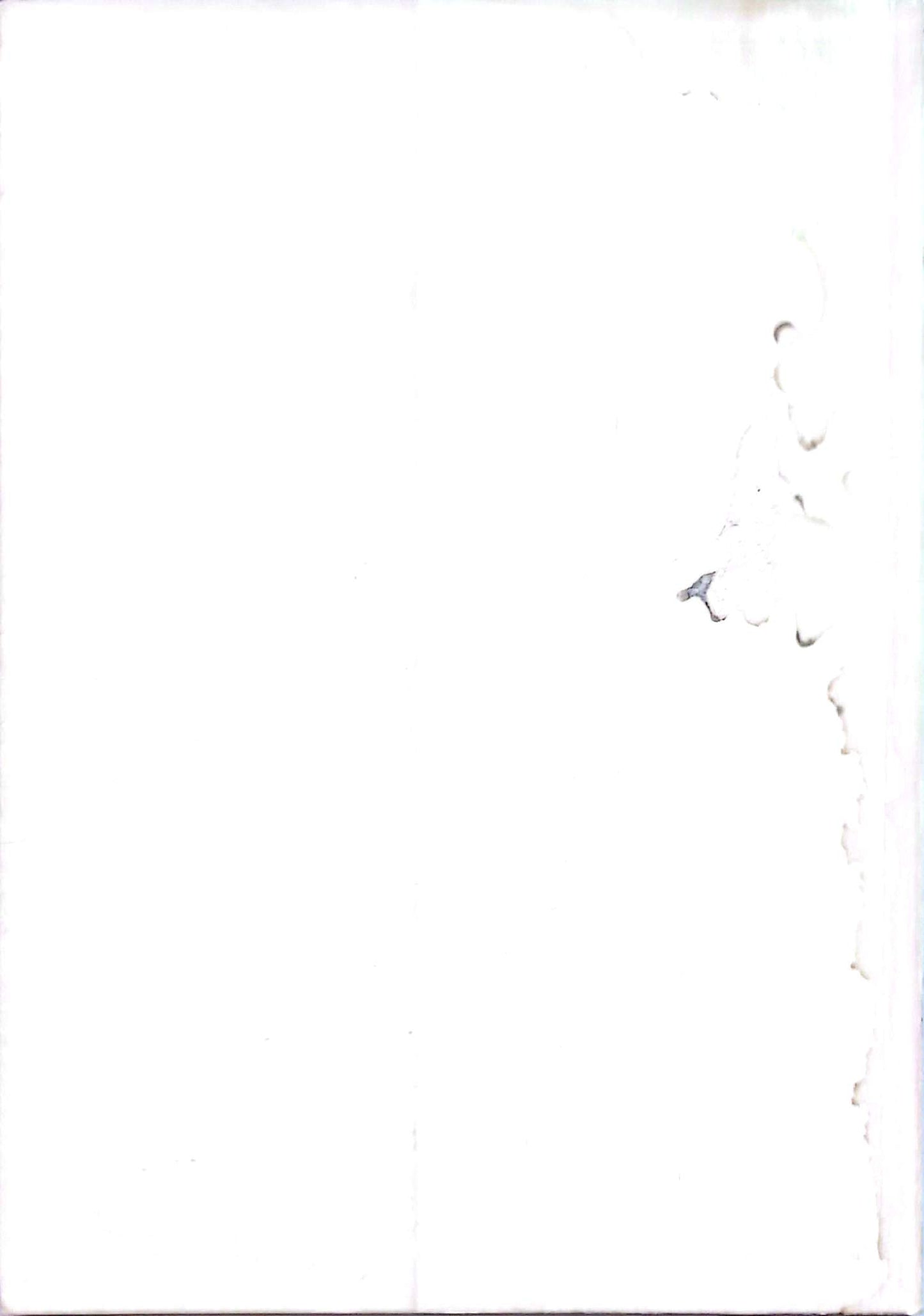 Raphaël – Chefs-d’œuvre de l’art – Grands peintres – Livre d’art illustré – 12 pages – Hachette