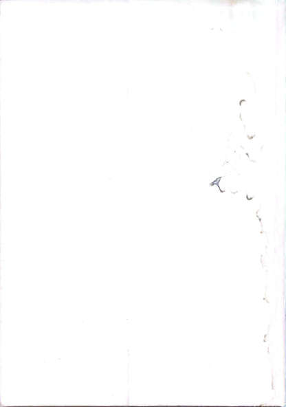 Raphaël – Chefs-d’œuvre de l’art – Grands peintres – Livre d’art illustré – 12 pages – Hachette