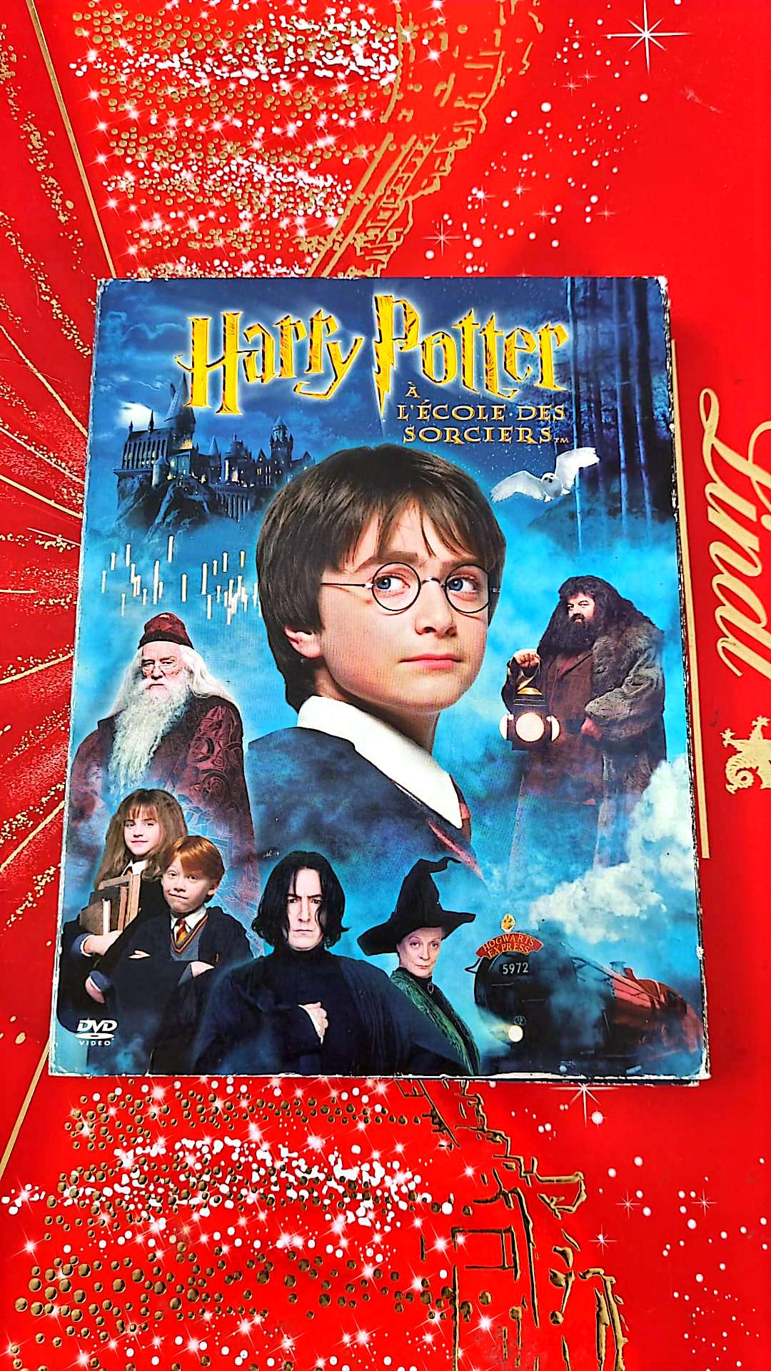 DVD : harry potter à l'école des sorciers en