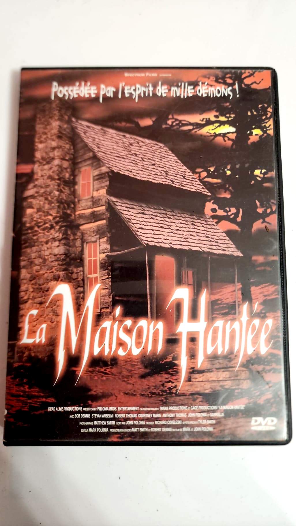 La Maison Hantée DVD - Pochette avant
