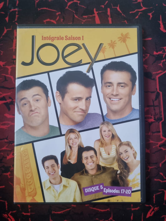 DVD Joey Saison 1 – Disque 5 (Épisodes 17 à 20)