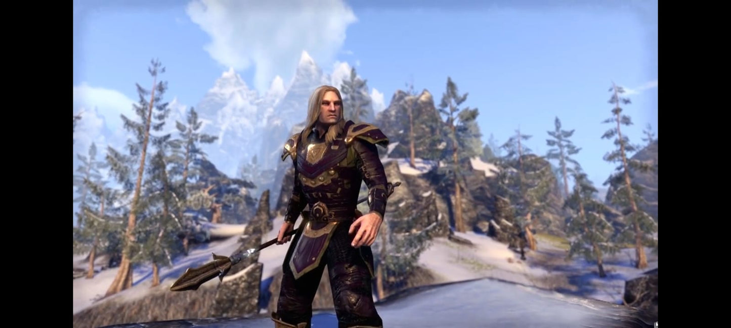The Elder Scrolls Online Tamriel Unlimited – PS4 – Jeu vidéo RPG – Version française jeu ps4