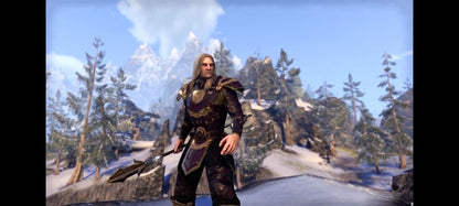 The Elder Scrolls Online Tamriel Unlimited – PS4 – Jeu vidéo RPG – Version française jeu ps4