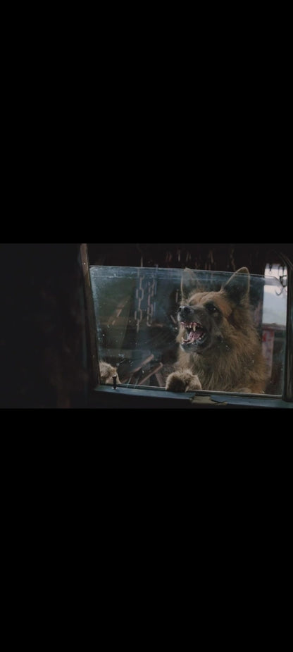 Dogs DVD Film Horreur Attaque Animale – Chiens Tueurs – Version Française PAL –