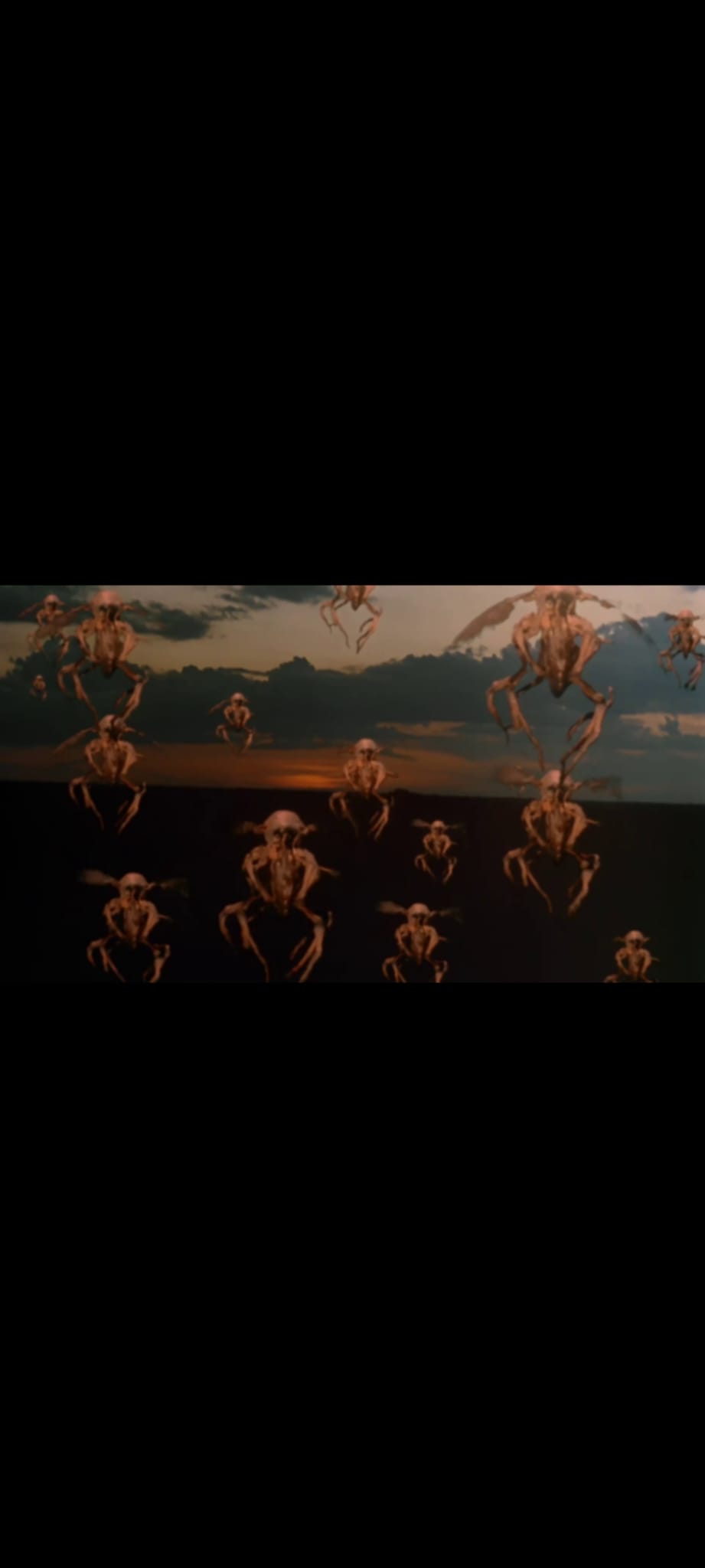 Mosquito DVD Film Horreur Science-Fiction – Invasion Insectes Géants – Version Française PAL