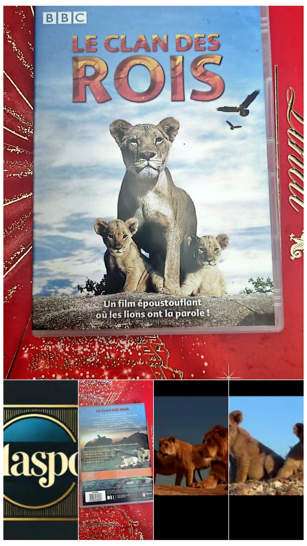 DVD le clan des rois