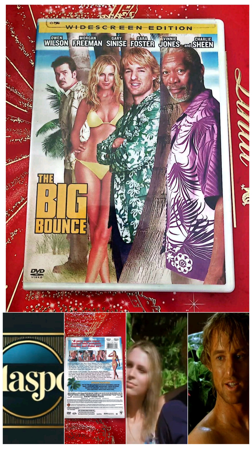 DVD : The big bounce