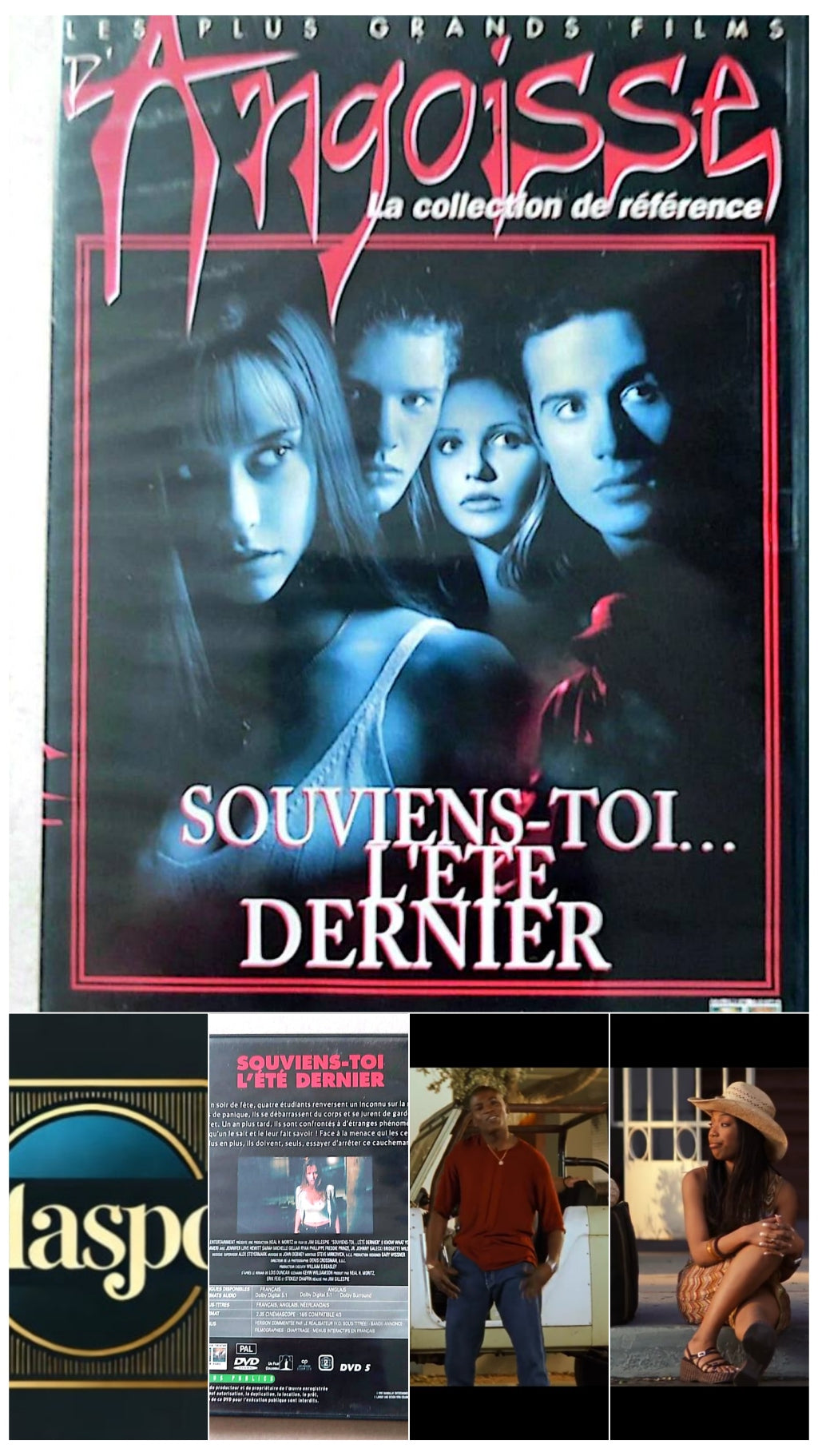 DVD : Souviens toi de l'été dernier