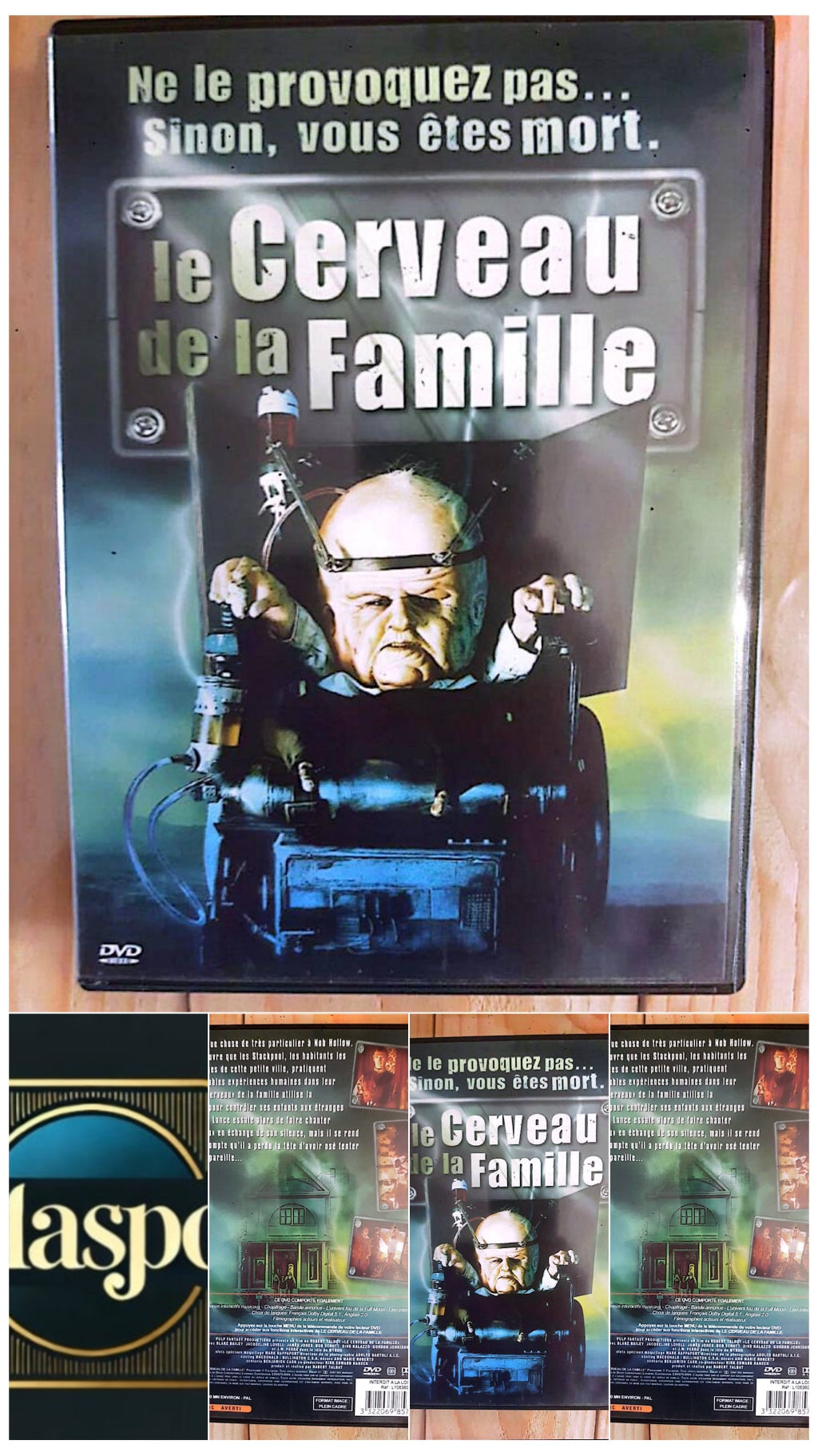 DVD : Le cerveau de la famille
