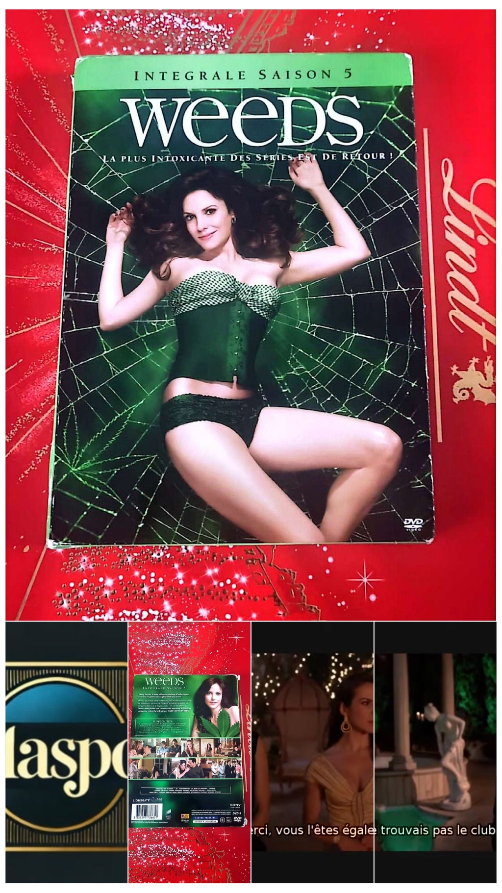 DVD intégrale saison 5 WEEDS