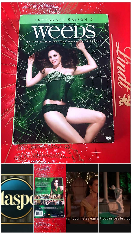 DVD intégrale saison 5 WEEDS