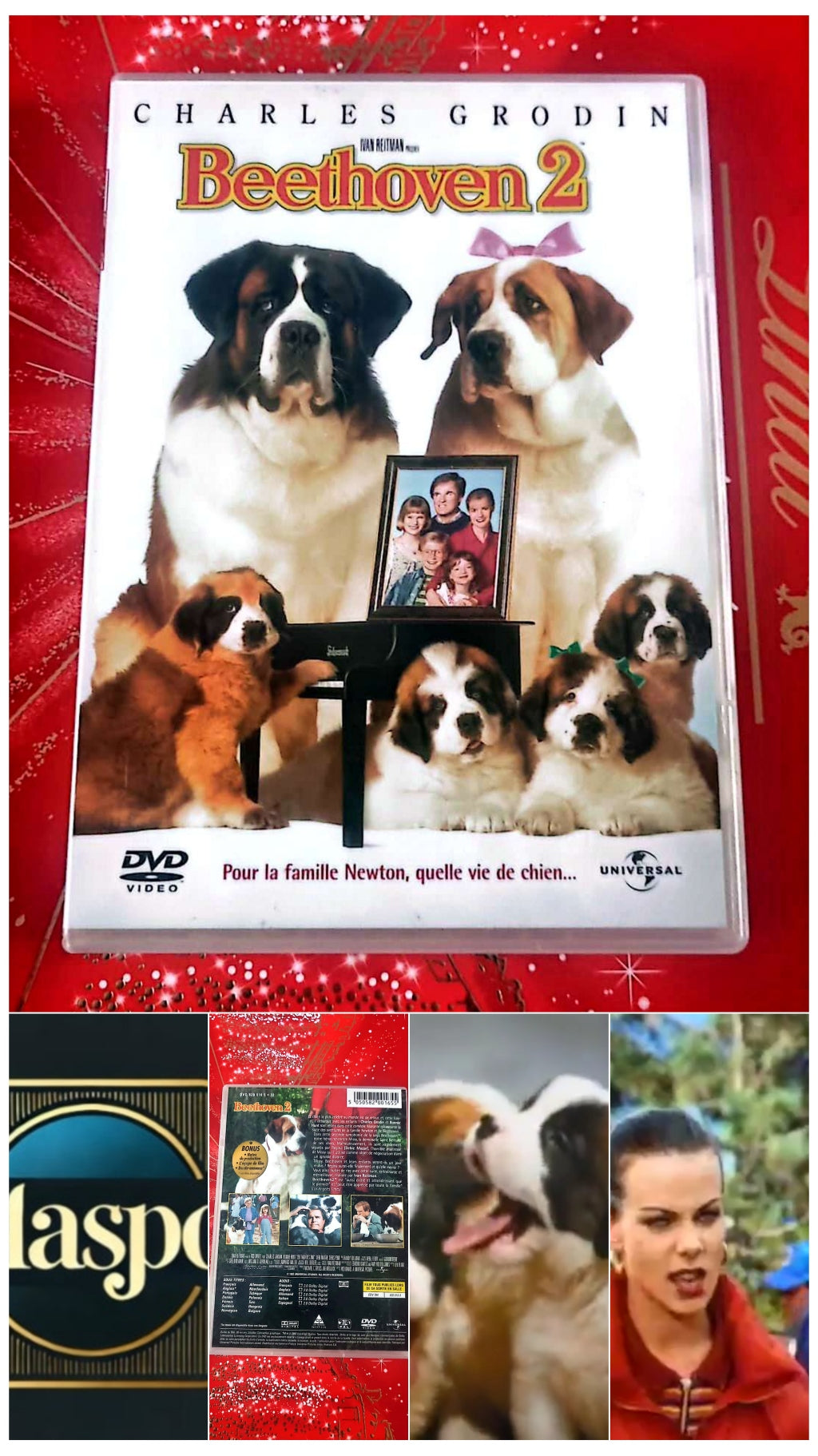 DVD Charles Grodin Beethoven 2