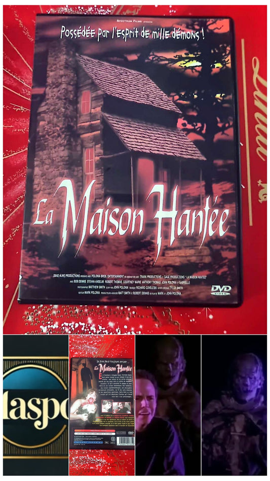 DVD : La Maison Hantée (DVD film d’horreur, 2000) – Version française, PAL, couleur, accord parental – Film d’épouvante surnaturelle