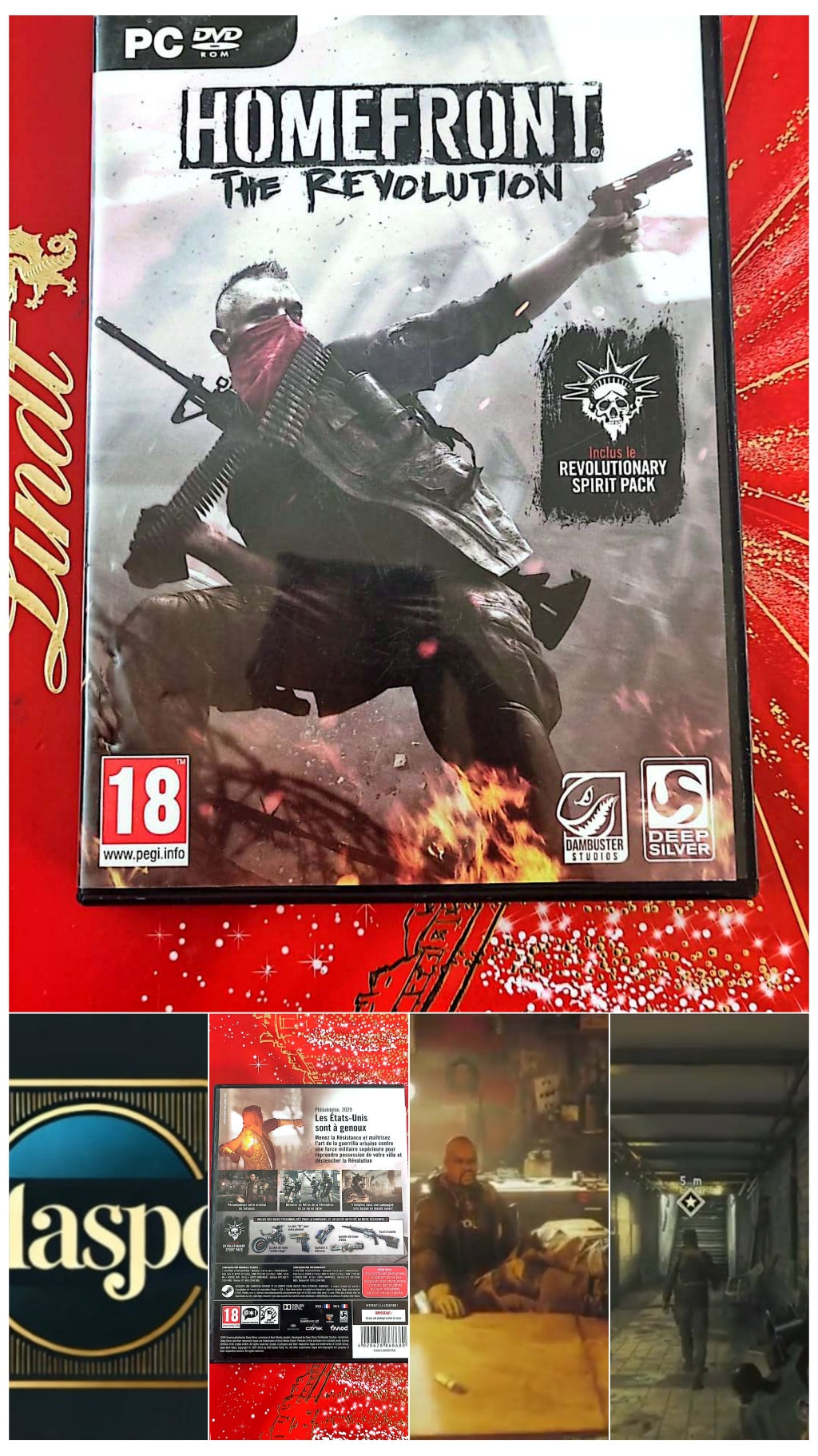 Jeu vidéo PC : homefront the revolution