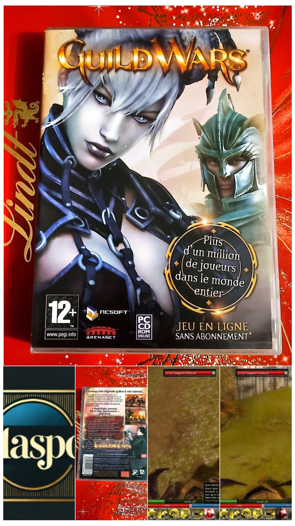 Jeu vidéo PC : Guildwars jeu PC