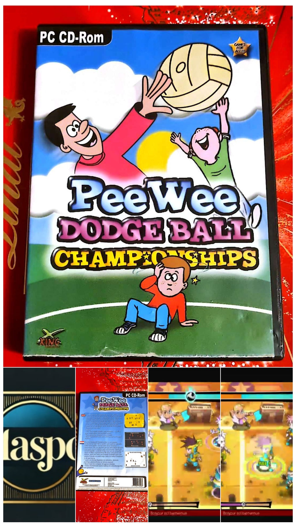 Jeu vidéo PC : peewee Dodge Ball Championships