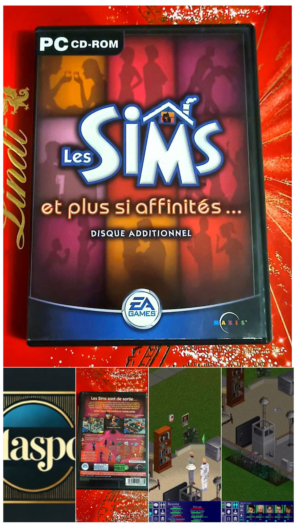 Jeu vidéo PC : les Sims et plus si affinités