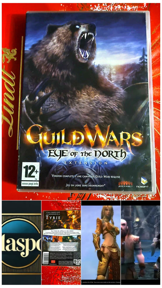 Jeu vidéo PC : Guild Wars eye of the North Extension