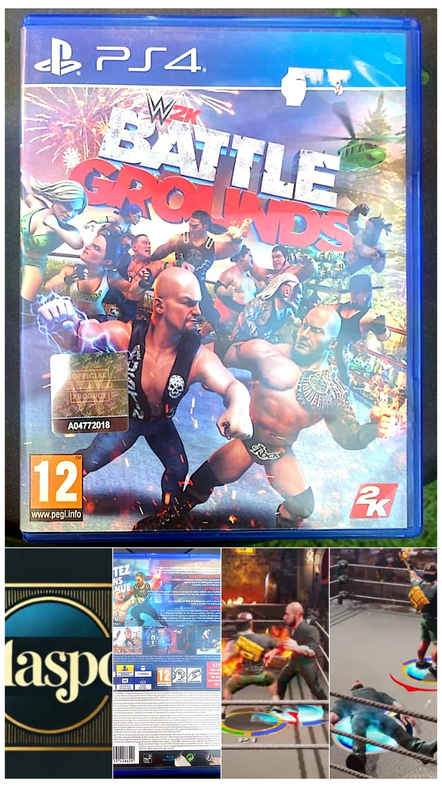 Jeu vidéo PS4 : Battle Grounds