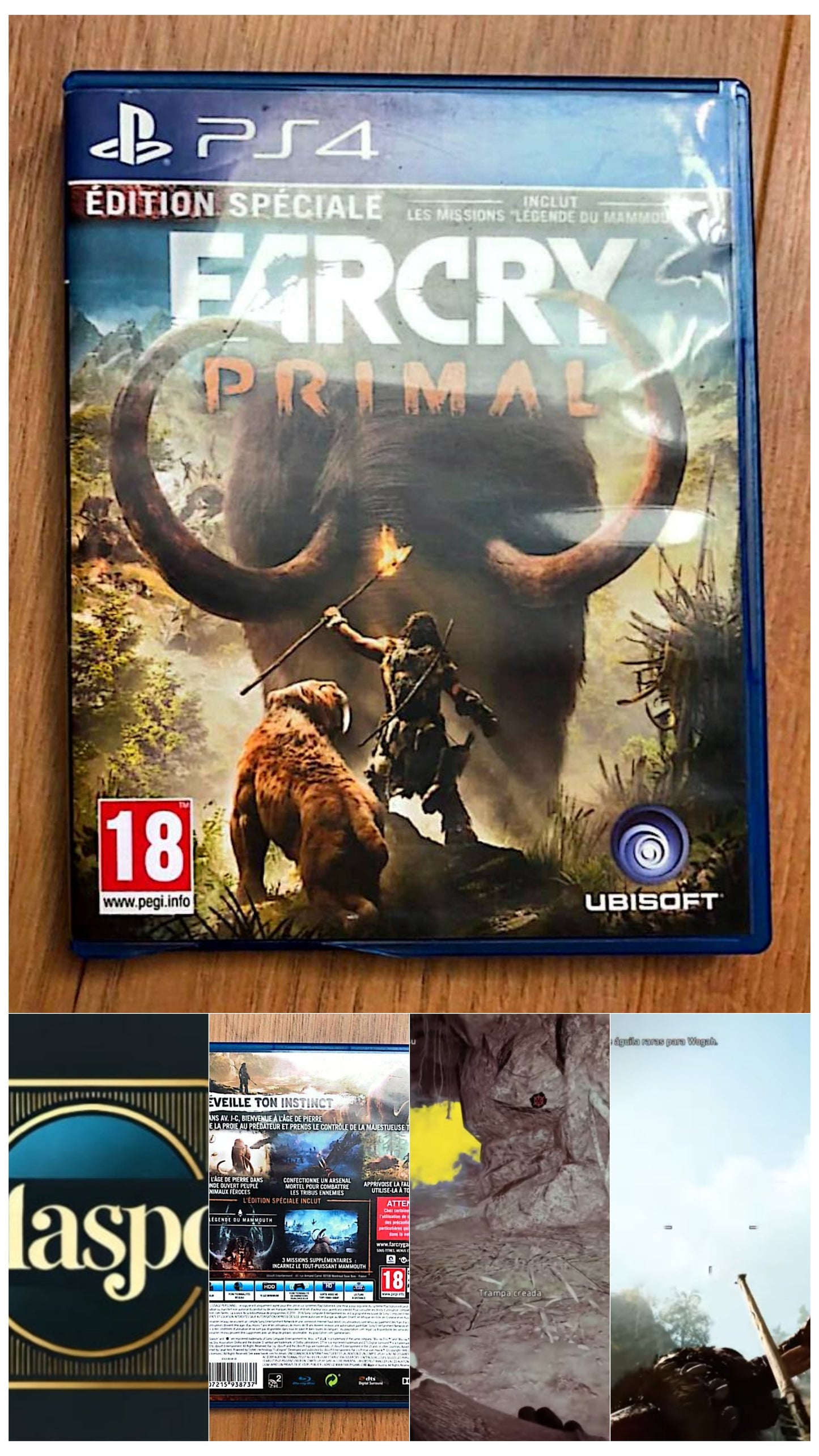 Jeu vidéo PS4 : far cry primal ps4 (Far Cry Primal PS4)