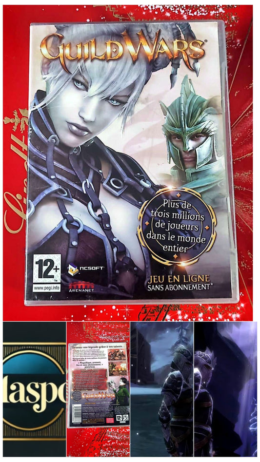 Jeu vidéo PC : Guild Wars