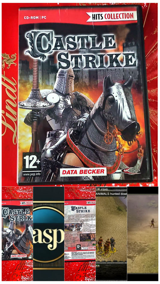 Jeu vidéo PC : castle strike