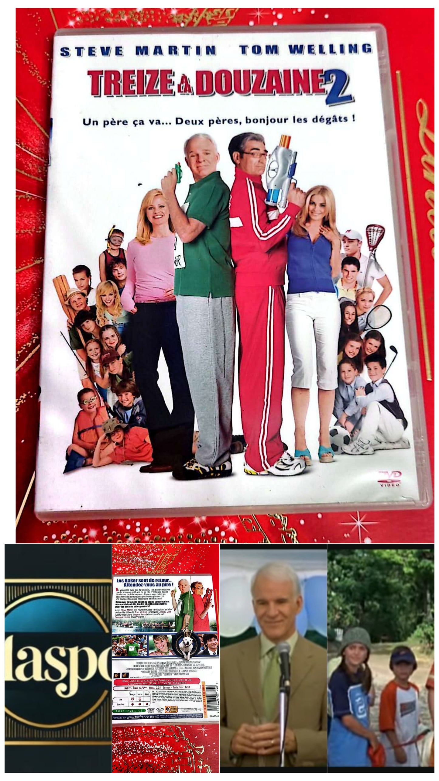 DVD : Treize à la douzaine 2