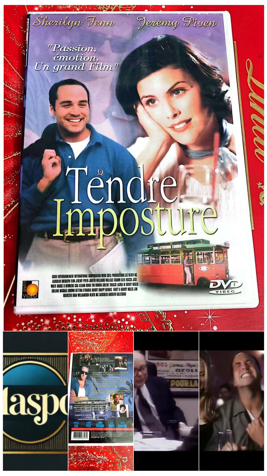 DVD Sherilyn Fenn Jeremy Piven tendre Imposture