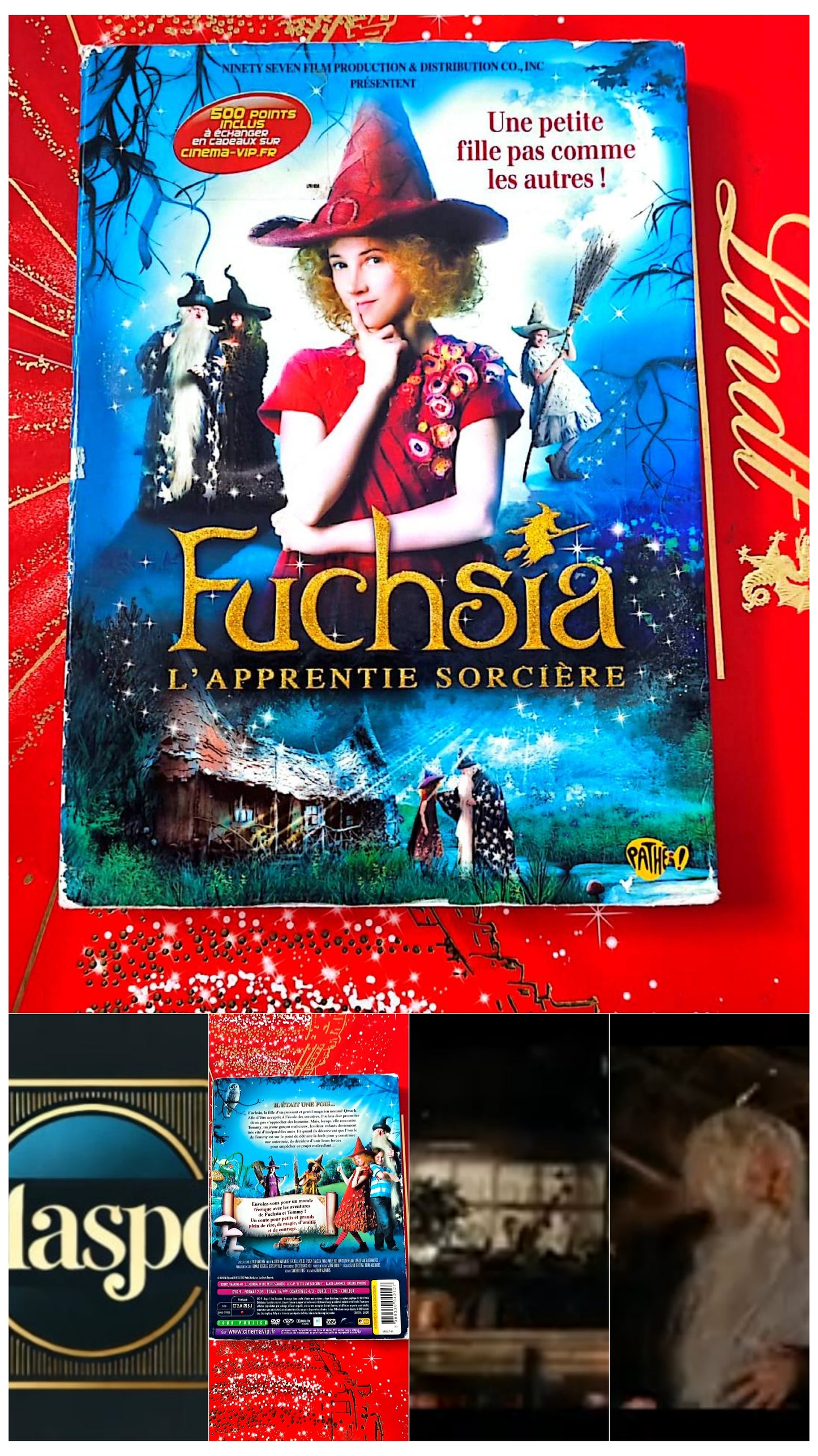 DVD : fuchsia l'apprentie sorcière