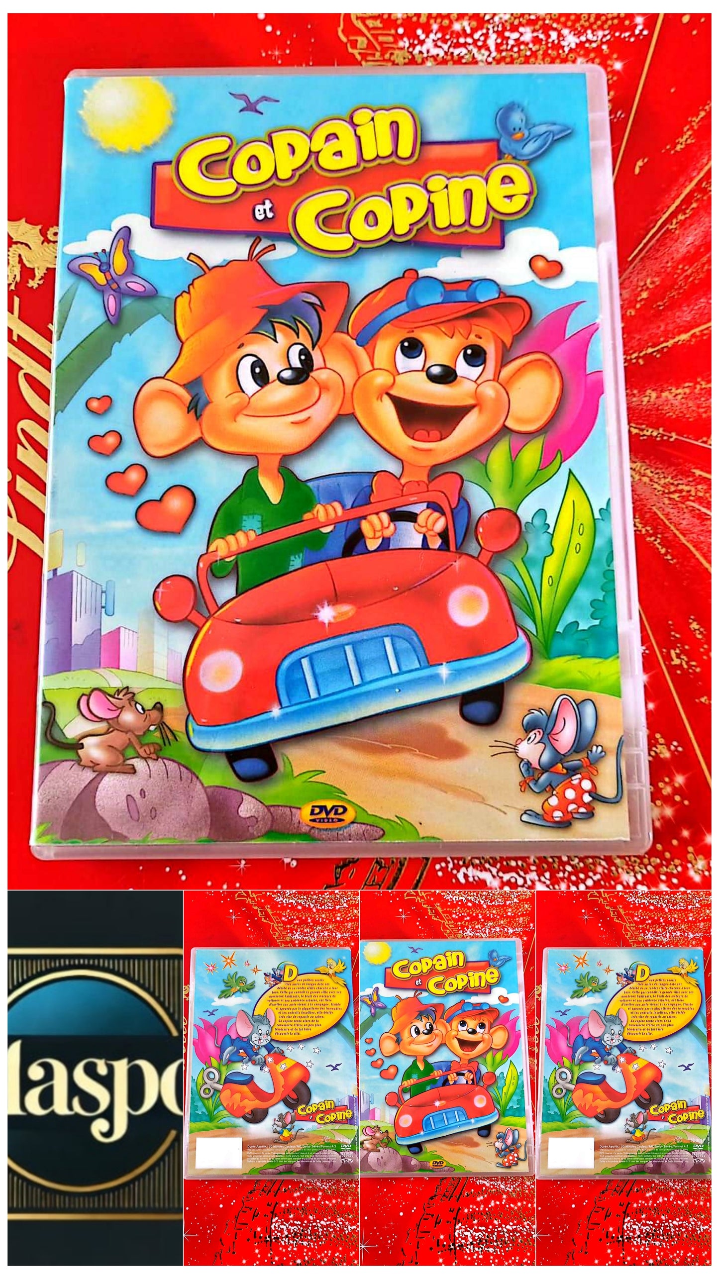 DVD : copain et copine