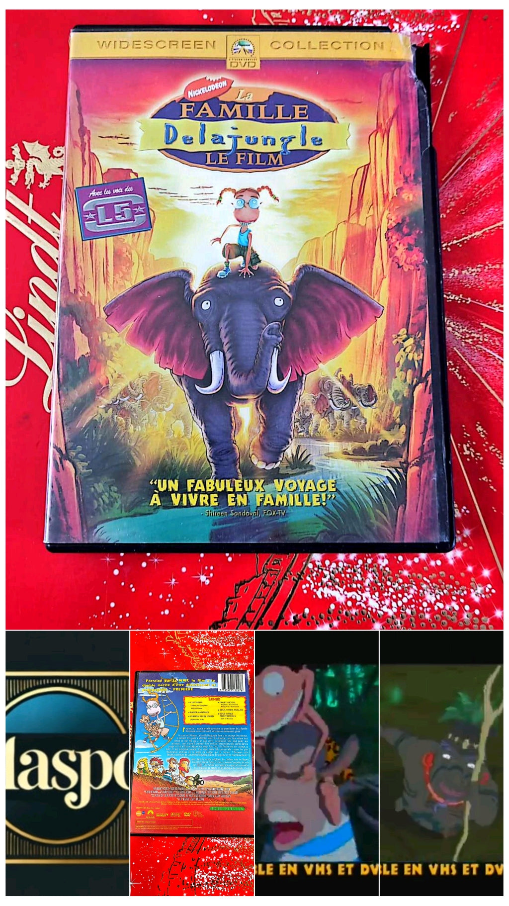 DVD la famille de la jungle