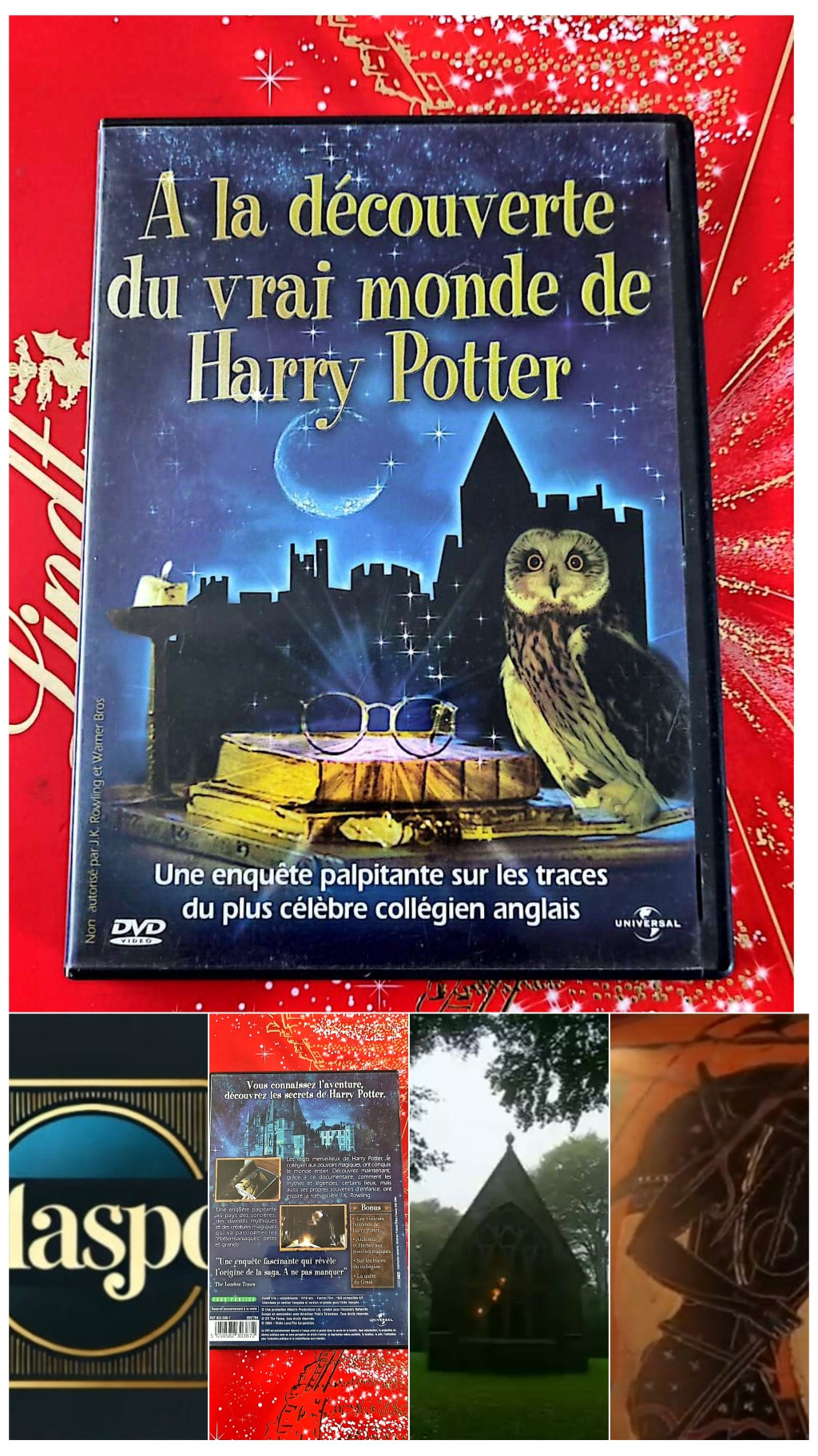 DVD A la découverte du vrai monde de Harry Potter