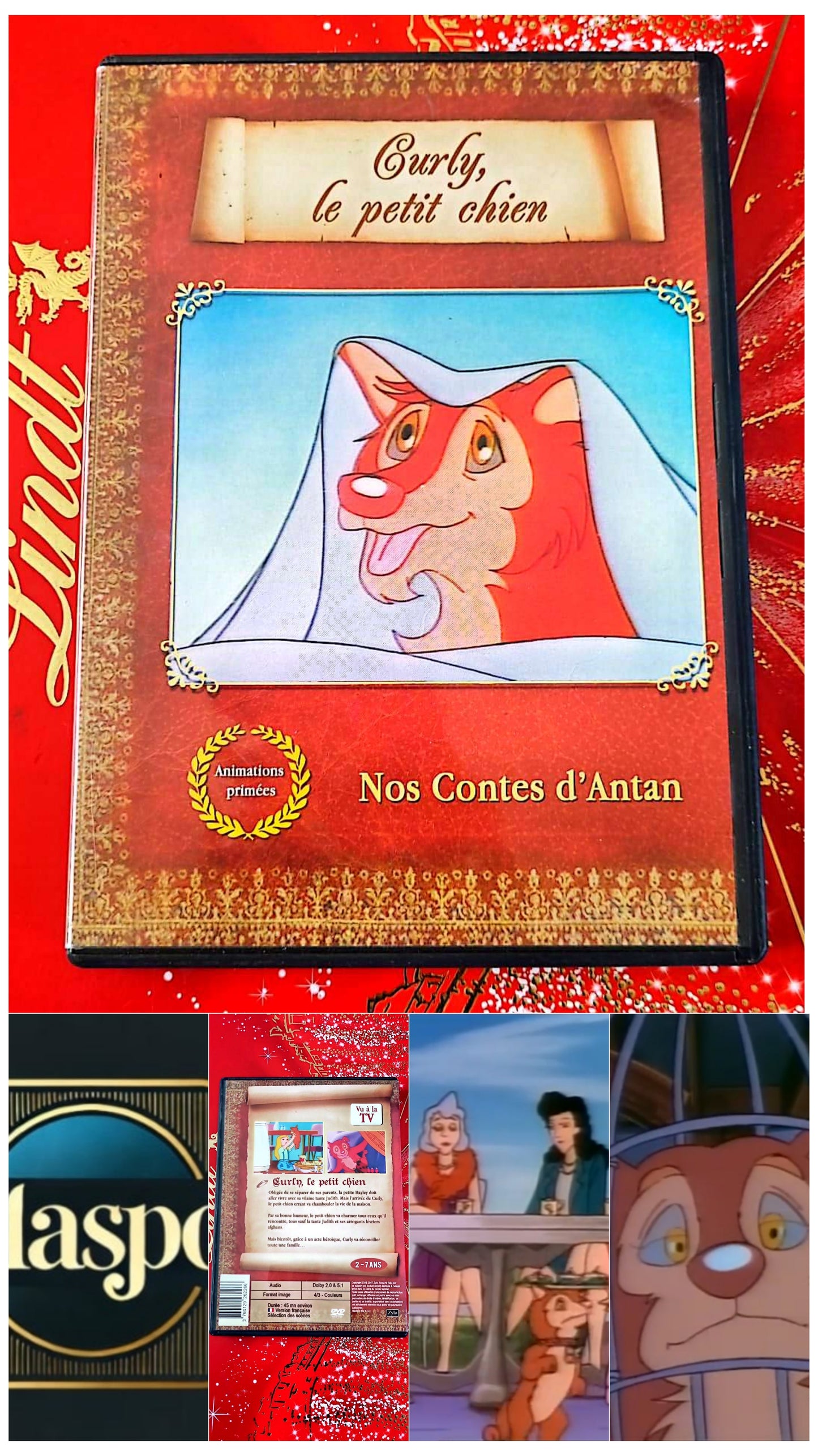 DVD : curly le petit chien