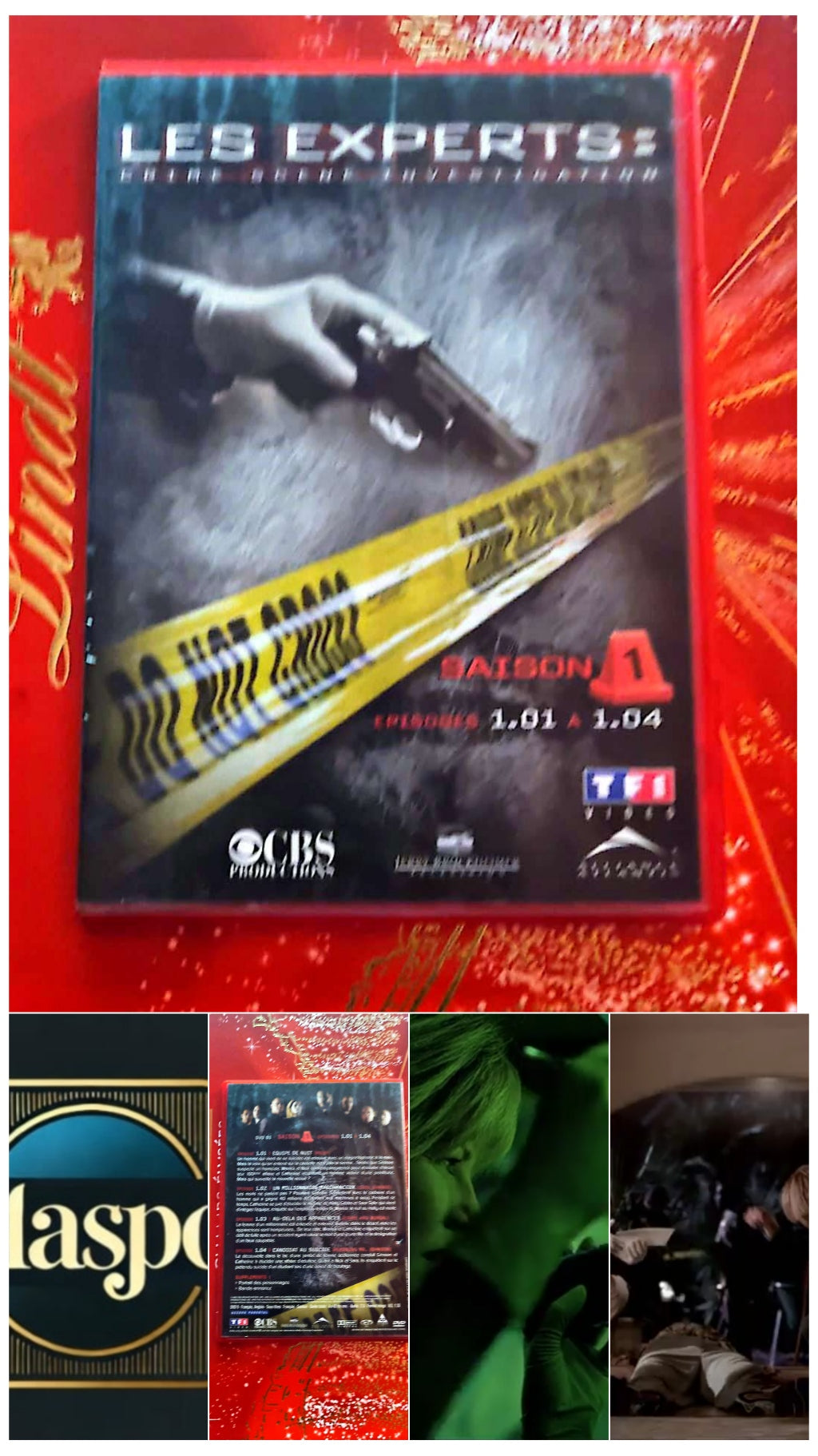 DVD les experts saison 1