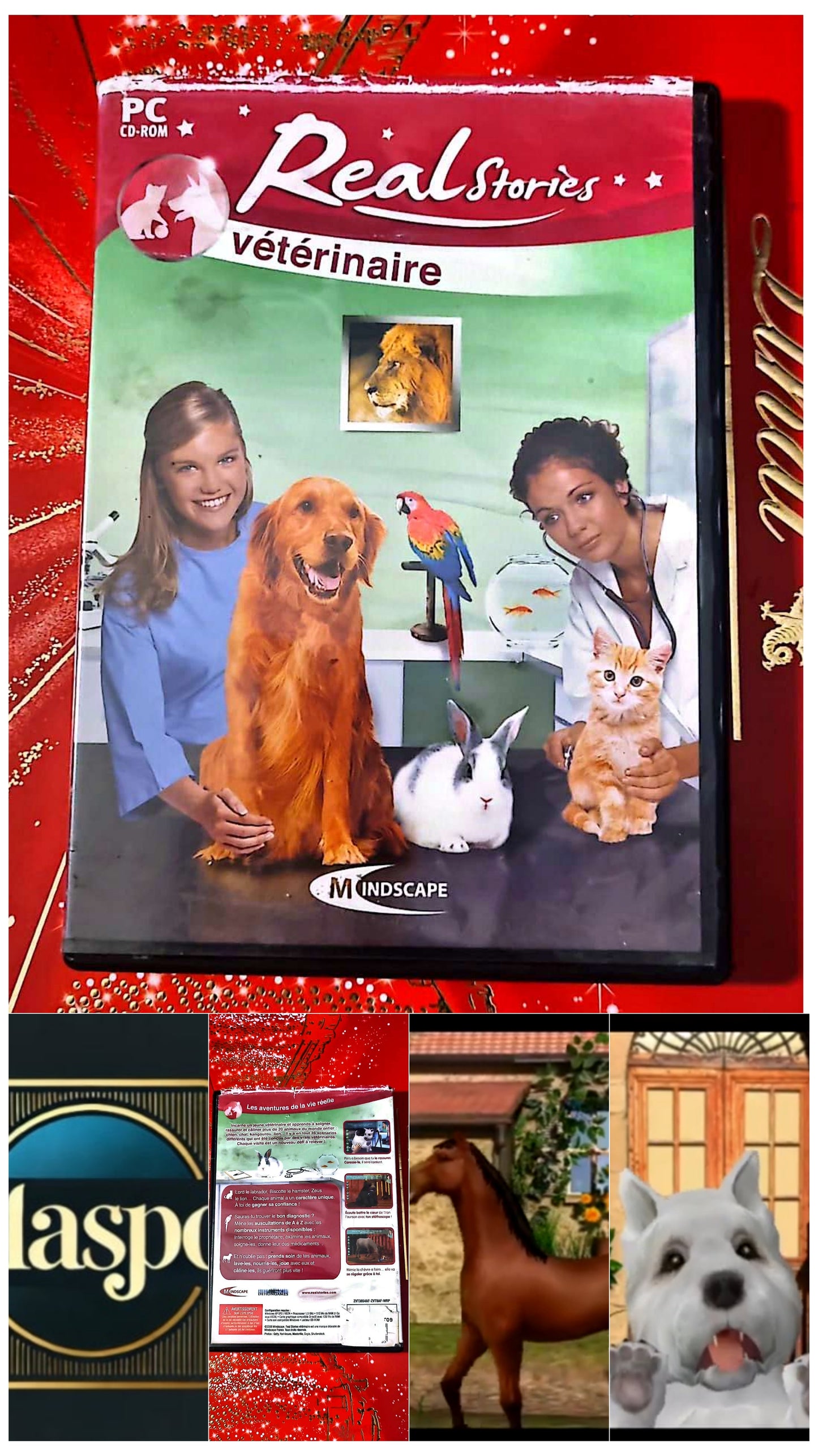 Jeu vidéo PC : Real stories vétérinaire jeu PC