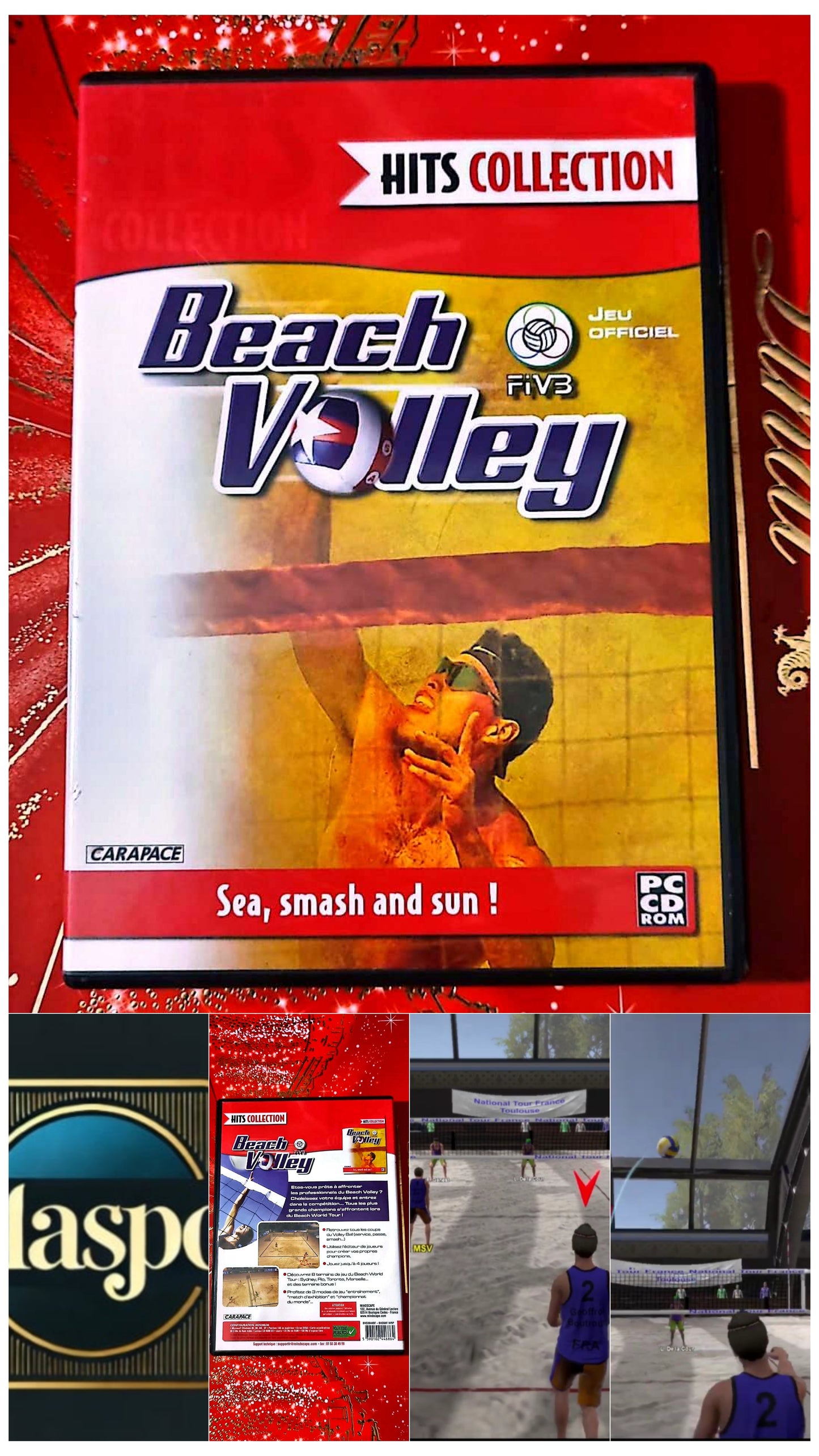 Jeu vidéo PC : Beach volley pc