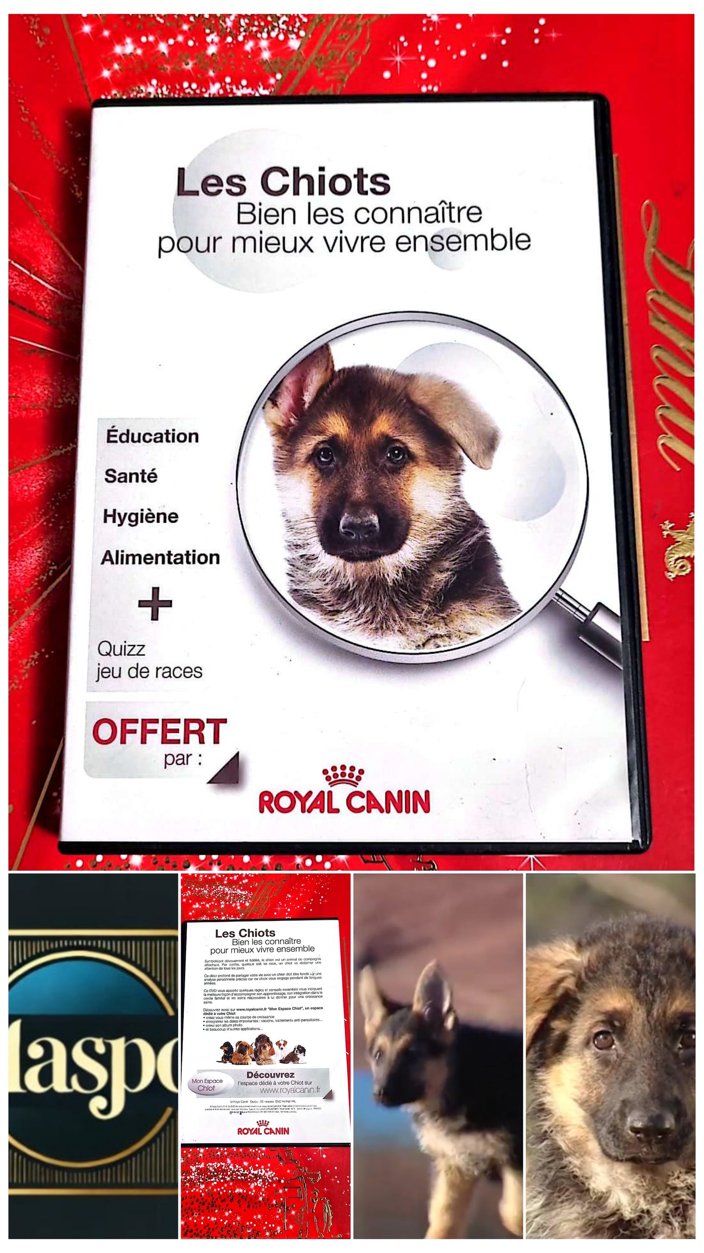 DVD : les chiots bien les connaître pour mieux vivre ensemble