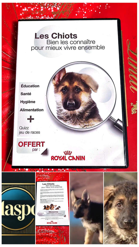 DVD : les chiots bien les connaître pour mieux vivre ensemble